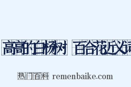高高的白杨树·百合花近义词是什么意思的图片